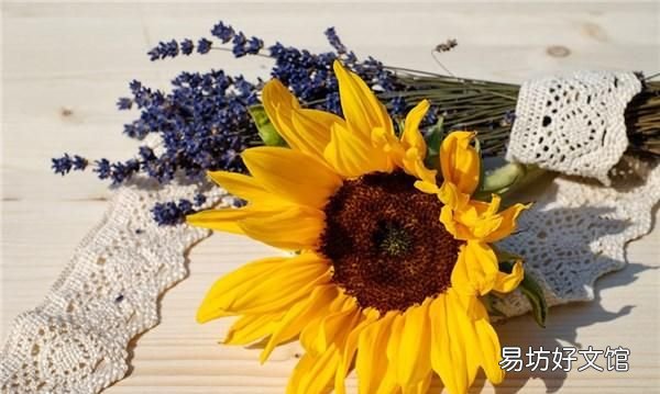 励志生活感悟经典句子,充满哲理,启迪人心!