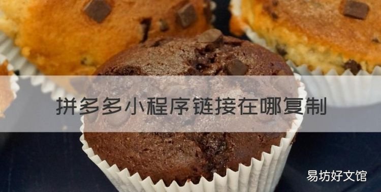 拼多多小程序链接在哪复制，拼多多小程序分享码怎么用不了
