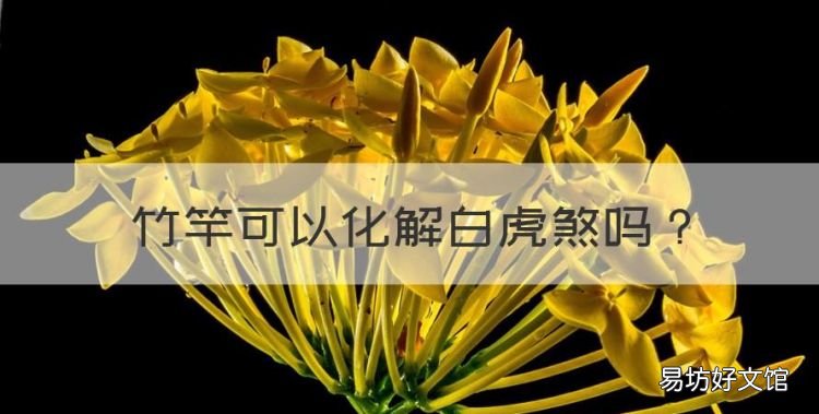 犯白虎煞怎么化解，竹竿可以化解白虎煞