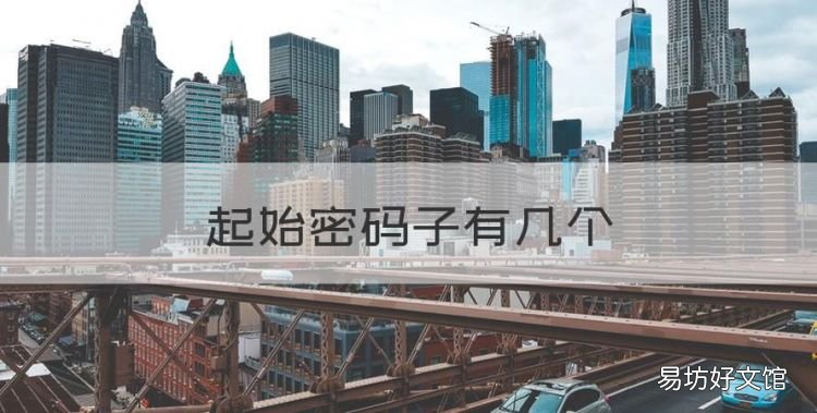 起始密码子有几个,起始密码子和终止密码子