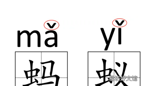 蚂蚁拼音怎么写,蚂蚁的声调是几声