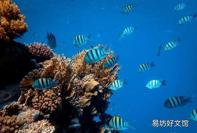 地球的眼泪是什么地方,地球会下酸雨吗