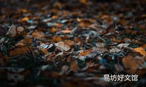 地球的眼泪是什么地方,地球会下酸雨吗