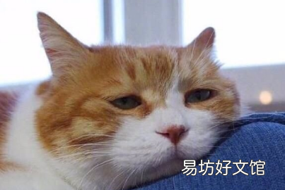 今天是感恩节感谢所有的朋友 感恩节说说感谢所有认识的人