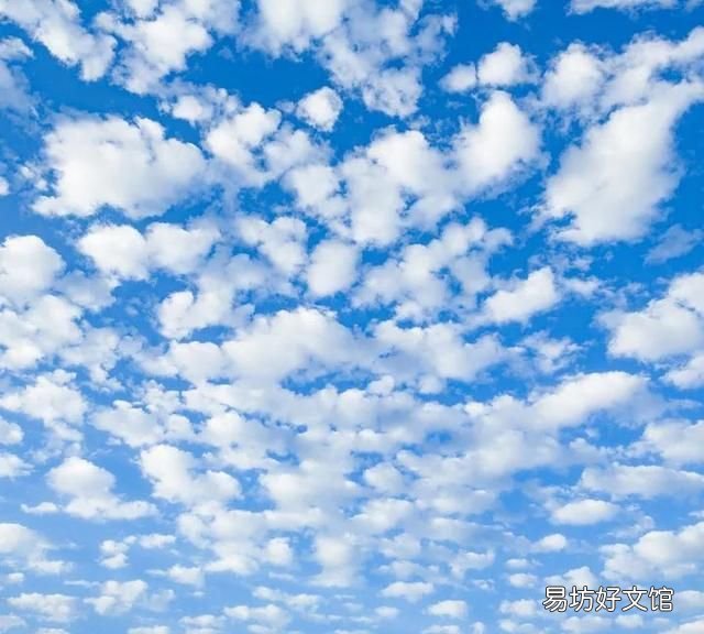 观云识天,东东教你读懂天空的表情