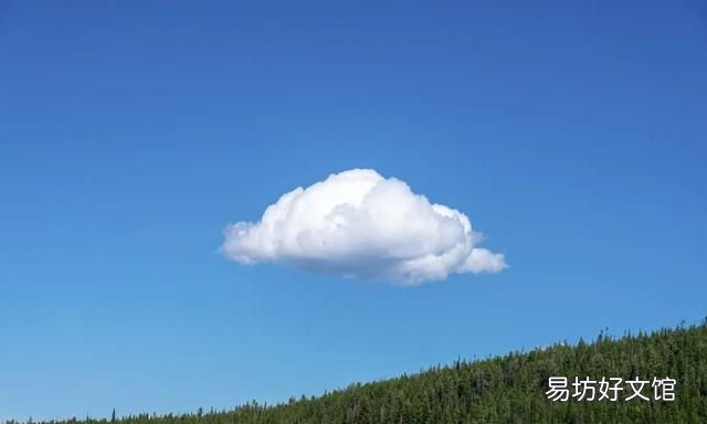 观云识天,东东教你读懂天空的表情