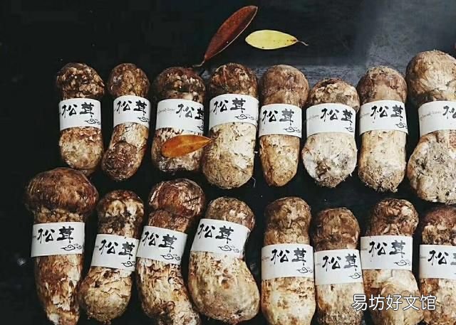 松茸正确的保存方法,松茸能放冰箱保存吗