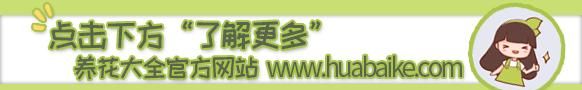 盖过的被子有一股味道