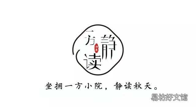 我是一只刺猬,外表带刺而内心柔软