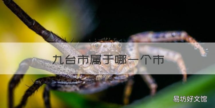 九台市属于哪一个市，九台区是哪个市的城市