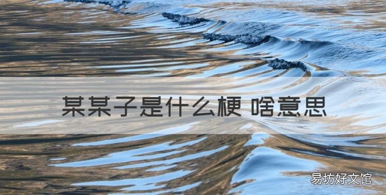 某某子是什么梗 啥意思，为什么网上叫人要叫某某子女