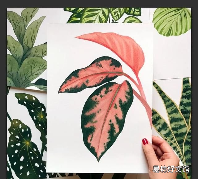树叶粘贴画超级好看的 用不同的树叶画一幅画