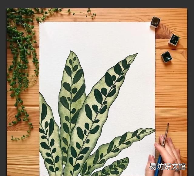 树叶粘贴画超级好看的 用不同的树叶画一幅画