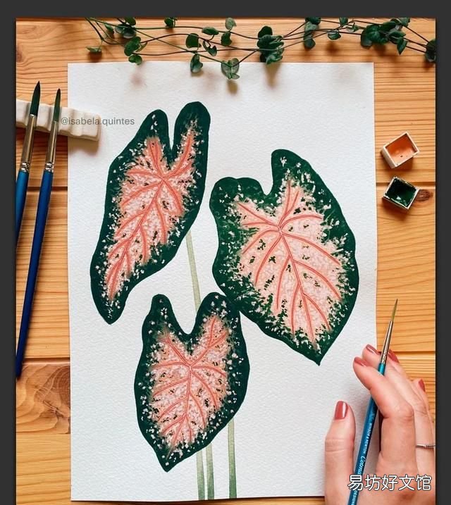 树叶粘贴画超级好看的 用不同的树叶画一幅画