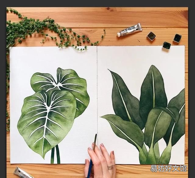 树叶粘贴画超级好看的 用不同的树叶画一幅画