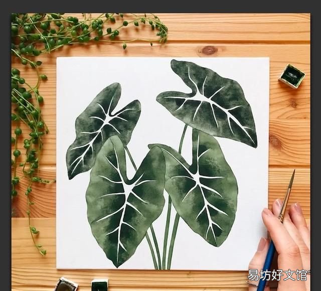 树叶粘贴画超级好看的 用不同的树叶画一幅画