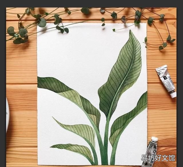 树叶粘贴画超级好看的 用不同的树叶画一幅画