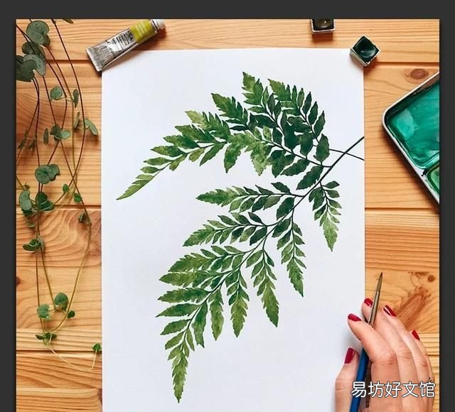 树叶粘贴画超级好看的 用不同的树叶画一幅画