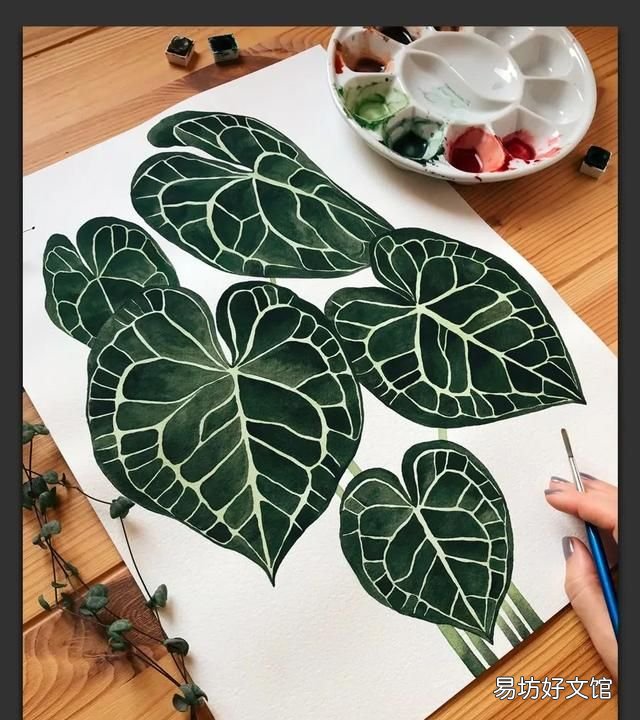 树叶粘贴画超级好看的 用不同的树叶画一幅画