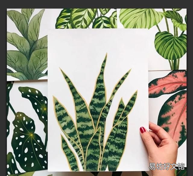 树叶粘贴画超级好看的 用不同的树叶画一幅画