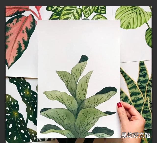 树叶粘贴画超级好看的 用不同的树叶画一幅画
