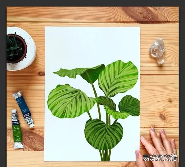 树叶粘贴画超级好看的 用不同的树叶画一幅画