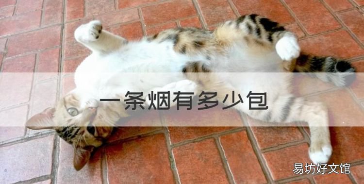 一条烟有多少包