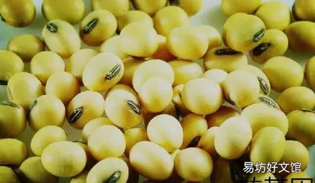 转基因食品怎么辨别,中国禁用转基因食品了吗