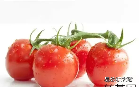 转基因食品怎么辨别,中国禁用转基因食品了吗