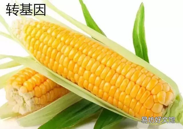 转基因食品怎么辨别,中国禁用转基因食品了吗