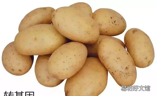 转基因食品怎么辨别,中国禁用转基因食品了吗