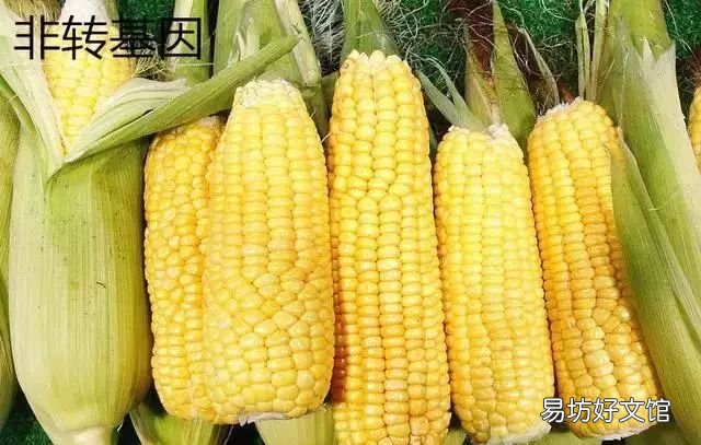 转基因食品怎么辨别,中国禁用转基因食品了吗