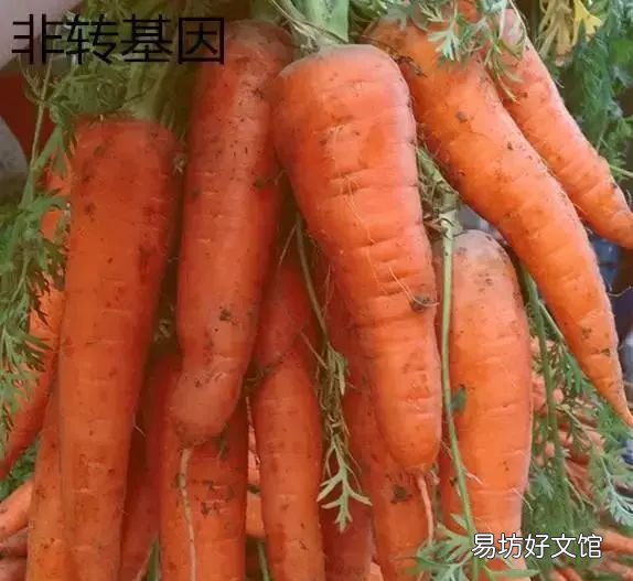 转基因食品怎么辨别,中国禁用转基因食品了吗