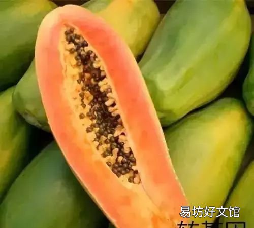 转基因食品怎么辨别,中国禁用转基因食品了吗