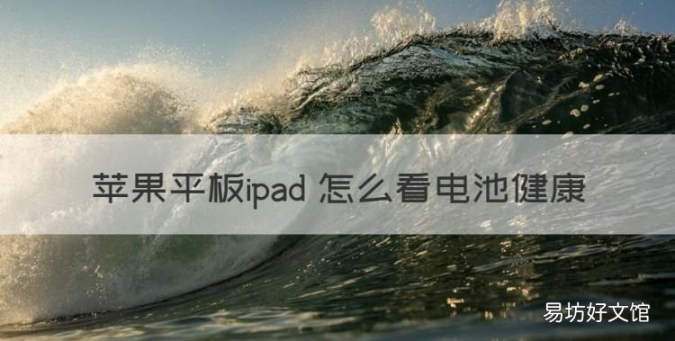 苹果平板ipad 怎么看电池健康