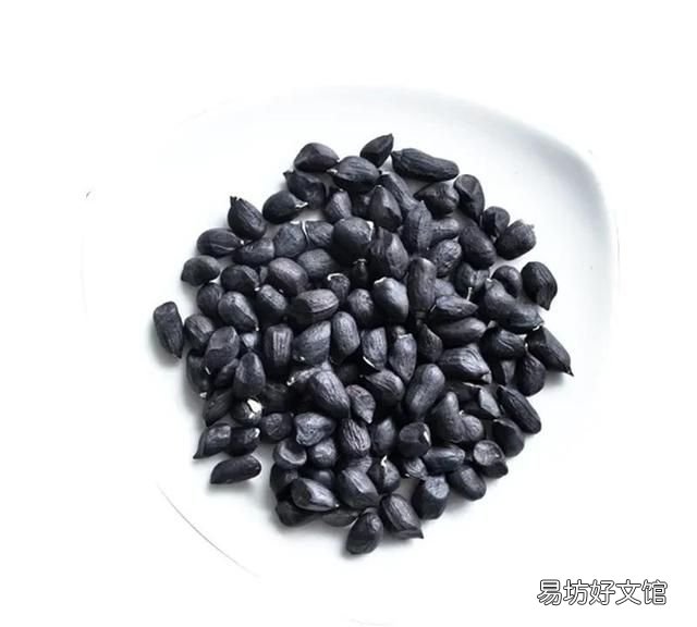 黑仁花生健康吗 黑仁花生简介