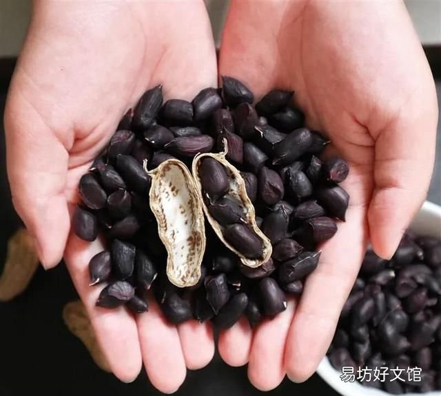 黑仁花生健康吗 黑仁花生简介