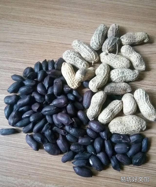 黑仁花生健康吗 黑仁花生简介