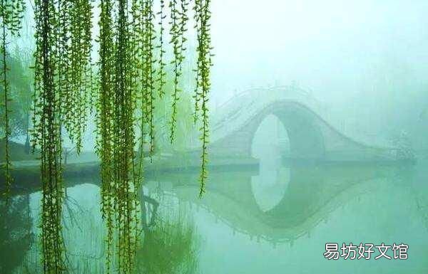 不知细叶谁裁出的诗意是什么