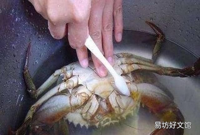 正宗大闸蟹炒年糕
