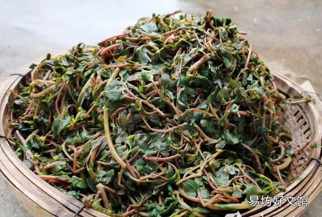 网络中国节·中秋|中秋节可不只是吃月饼,这些习俗你知道吗?