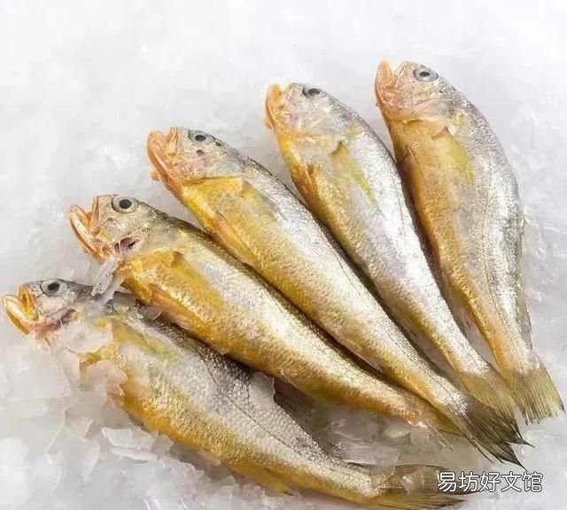 播放小企鹅可爱
