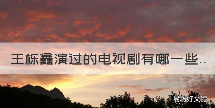 王栎鑫演过什么电视剧，王栎鑫演过的电视剧有哪些