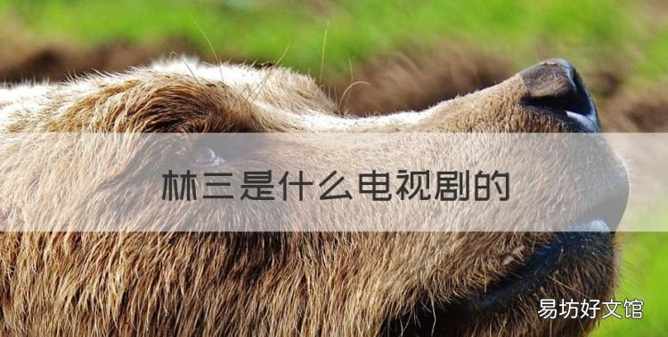 林三是什么电视剧的,极品家丁电视剧大结局怎么样