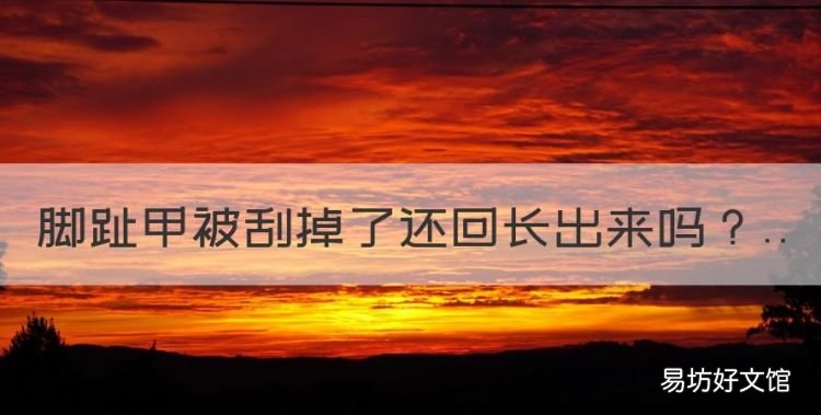 脚趾甲被刮掉了还回长出来,脚指甲淤血空了剪掉后,多久能好