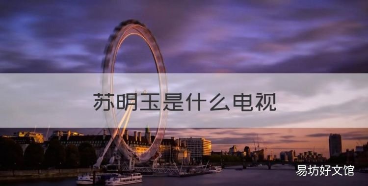 苏明玉是什么电视，苏明玉电视剧叫什么名字