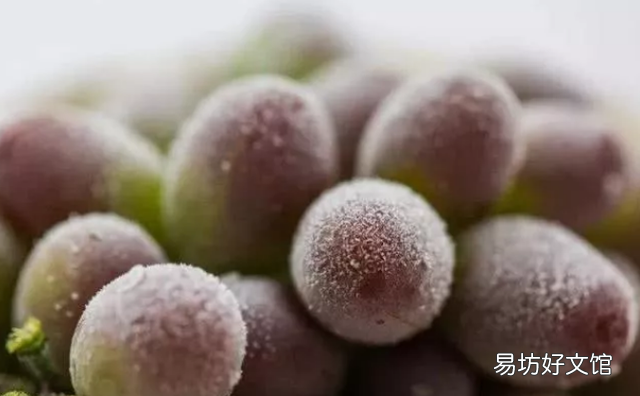 可以放冰箱冷冻的水果,无奶油无水果雪糕的简单做法
