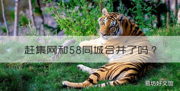 赶集网和58同城合并了