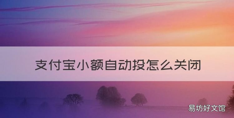手机掉了如何关闭支付宝,支付宝小额自动投怎么关闭