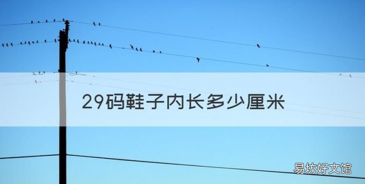 29码鞋子内长多少厘米